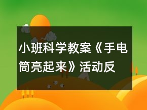 小班科學(xué)教案《手電筒亮起來》活動反思