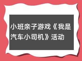 小班親子游戲《我是汽車小司機(jī)》活動(dòng)反思