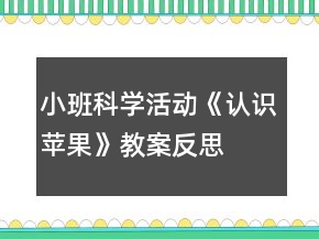 小班科學(xué)活動(dòng)《認(rèn)識(shí)蘋(píng)果》教案反思