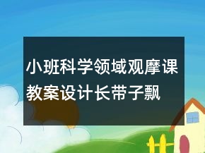 小班科學(xué)領(lǐng)域觀摩課教案設(shè)計(jì)：長(zhǎng)帶子飄起來反思