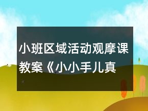 小班區(qū)域活動觀摩課教案《小小手兒真能干》