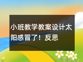 小班教學(xué)教案設(shè)計：太陽感冒了！反思