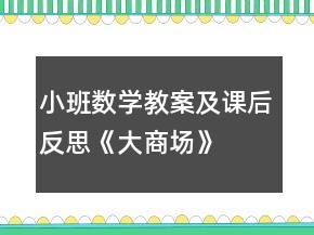 小班數(shù)學(xué)教案及課后反思《大商場》