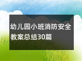 幼兒園小班消防安全教案總結(jié)30篇