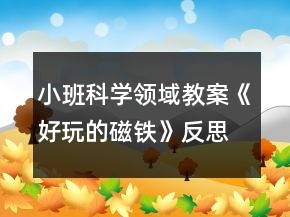 小班科學(xué)領(lǐng)域教案《好玩的磁鐵》反思