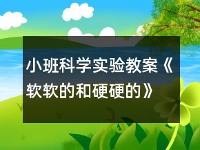 小班科學(xué)實(shí)驗(yàn)教案《軟軟的和硬硬的》反思