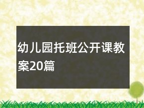 幼兒園托班公開(kāi)課教案20篇