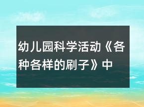 幼兒園科學活動《各種各樣的刷子》中班教案反思