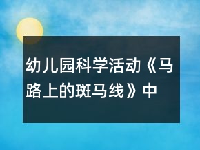 幼兒園科學(xué)活動(dòng)《馬路上的斑馬線》中班教案