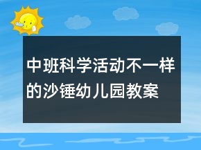 中班科學(xué)活動(dòng)：不一樣的沙錘幼兒園教案總結(jié)