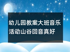 幼兒園教案大班音樂(lè)活動(dòng)：山谷回音真好聽(tīng)反思