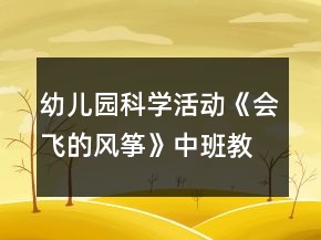 幼兒園科學(xué)活動(dòng)《會(huì)飛的風(fēng)箏》中班教案反思