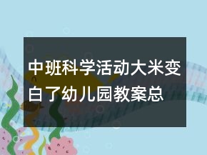中班科學活動：大米變白了幼兒園教案總結
