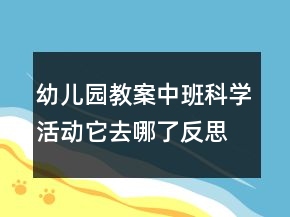 幼兒園教案中班科學活動：它去哪了反思