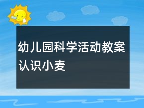 幼兒園科學(xué)活動教案：認識小麥