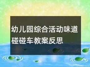 幼兒園綜合活動味道碰碰車教案反思