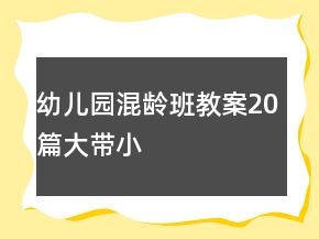 幼兒園混齡班教案20篇大帶小