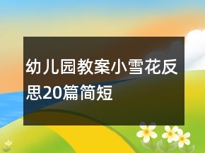 幼兒園教案小雪花反思20篇簡(jiǎn)短