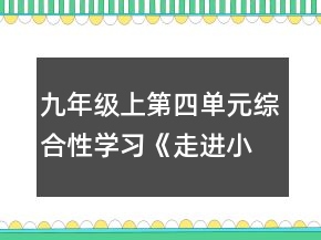 九年級上第四單元綜合性學(xué)習(xí)《走進(jìn)小說天地》活動教學(xué)設(shè)計(jì)一等獎