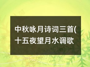 中秋詠月詩詞三首(十五夜望月,水調(diào)歌頭明月幾時有,我的思念是圓的)課堂實錄一等獎