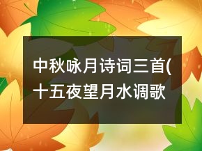 中秋詠月詩詞三首(十五夜望月,水調歌頭明月幾時有,我的思念是圓的)教學實錄一等獎