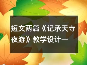 短文兩篇《記承天寺夜游》教學(xué)設(shè)計一等獎