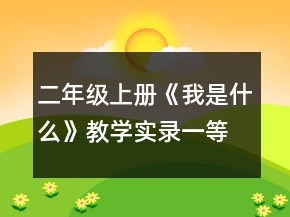 二年級上冊《我是什么》教學(xué)實錄一等獎