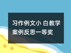 習(xí)作例文：小 白教學(xué)案例反思一等獎(jiǎng)