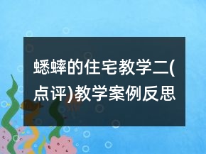 蟋蟀的住宅教學(xué)二(點(diǎn)評)教學(xué)案例反思一等獎(jiǎng)