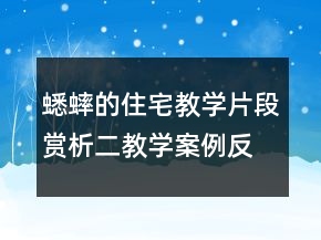 蟋蟀的住宅教學片段賞析二教學案例反思一等獎