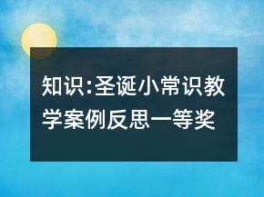知識:圣誕小常識教學(xué)案例反思一等獎