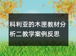科利亞的木匣教材分析二教學(xué)案例反思一等獎(jiǎng)