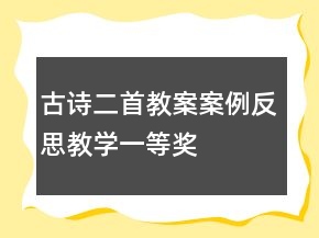 古詩二首教案案例反思教學(xué)一等獎