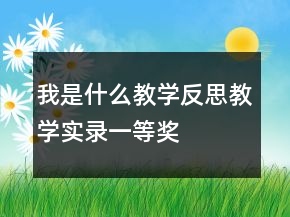 我是什么教學(xué)反思教學(xué)實(shí)錄一等獎(jiǎng)