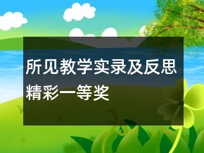 所見教學實錄及反思精彩一等獎