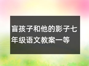 盲孩子和他的影子七年級語文教案一等獎
