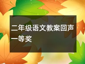 二年級語文教案回聲一等獎