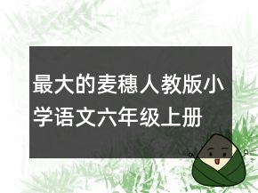 最大的麥穗人教版小學(xué)語文六年級上冊說課稿一等獎