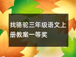 找駱駝三年級(jí)語文上冊(cè)教案一等獎(jiǎng)
