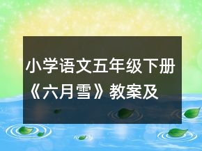 小學(xué)語文五年級下冊《六月雪》教案及資料一等獎