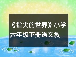 《指尖的世界》小學(xué)六年級下冊語文教案一等獎