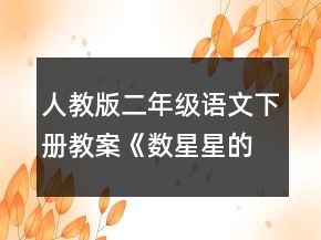 人教版二年級語文下冊教案《數(shù)星星的孩子》一等獎