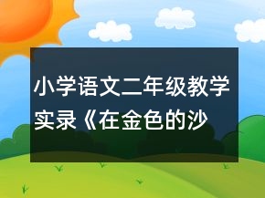 小學(xué)語文二年級(jí)教學(xué)實(shí)錄《在金色的沙灘上》綜合資料一等獎(jiǎng)