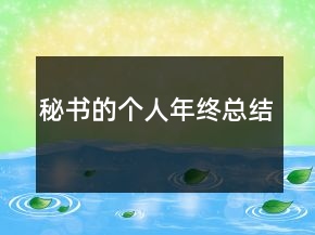 秘書的個(gè)人年終總結(jié)