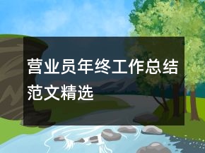 營業(yè)員年終工作總結(jié)范文精選