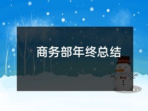 商務(wù)部年終總結(jié)
