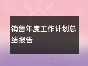 銷(xiāo)售年度工作計(jì)劃總結(jié)報(bào)告