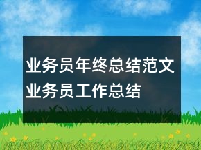 業(yè)務(wù)員年終總結(jié)范文、業(yè)務(wù)員工作總結(jié)