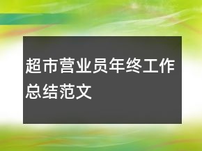 超市營業(yè)員年終工作總結(jié)范文