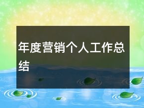年度營(yíng)銷(xiāo)個(gè)人工作總結(jié)
